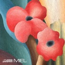 Carátula de Miel